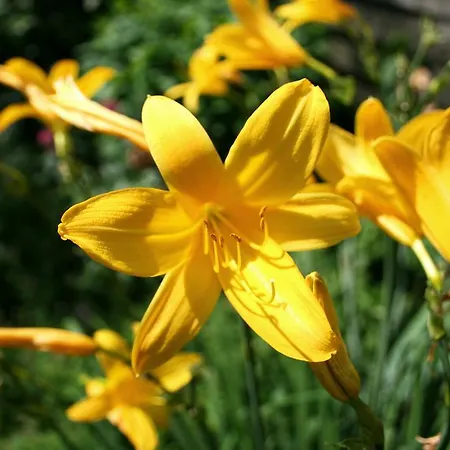 Heinrichshof Ξενοδοχείο