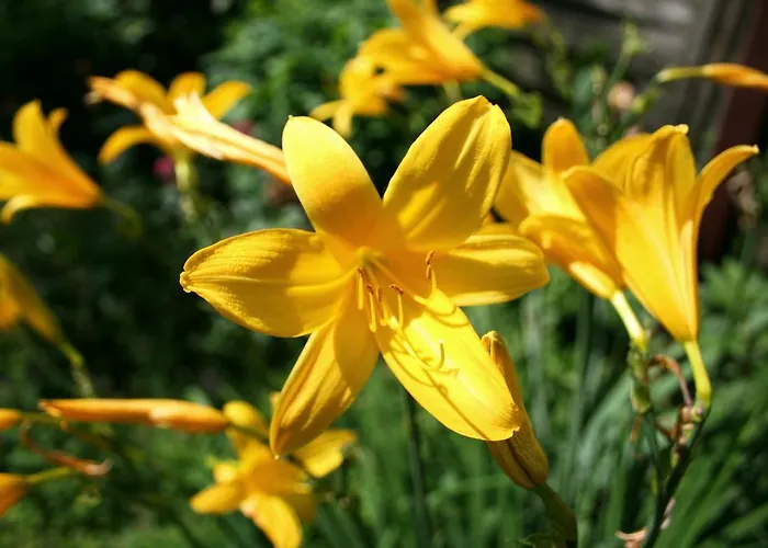 Heinrichshof فندق